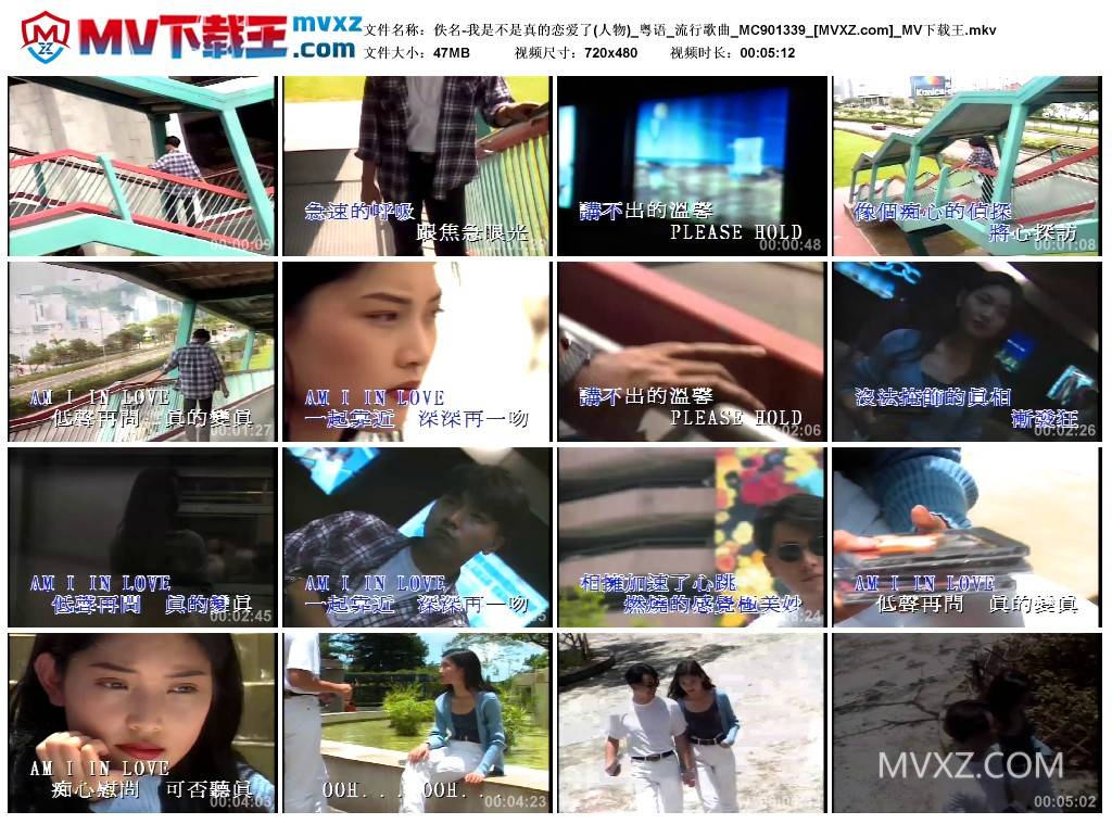 佚名-我是不是真的恋爱了(人物)_粤语_流行歌曲_MC901339